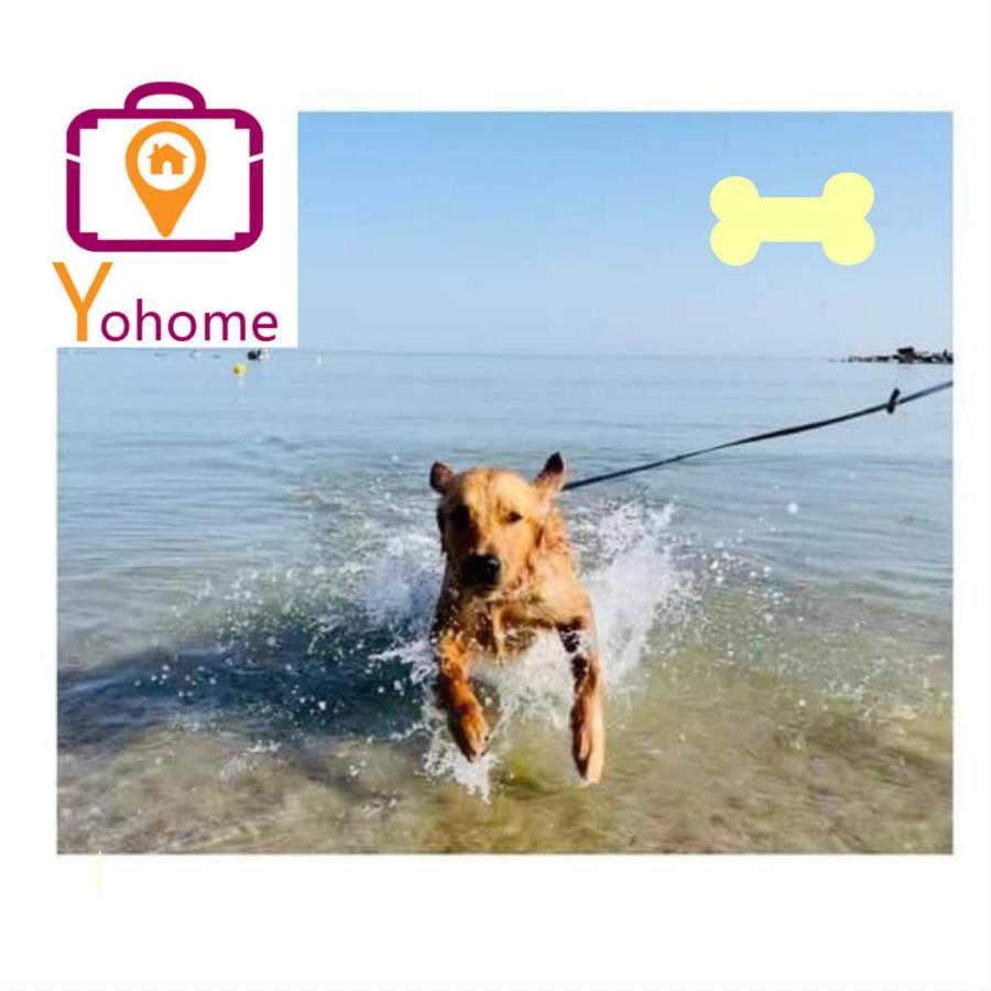 Zara D'Amare A Pesaro 10 Metri Dalla Spiaggia By Yohome 外观 照片